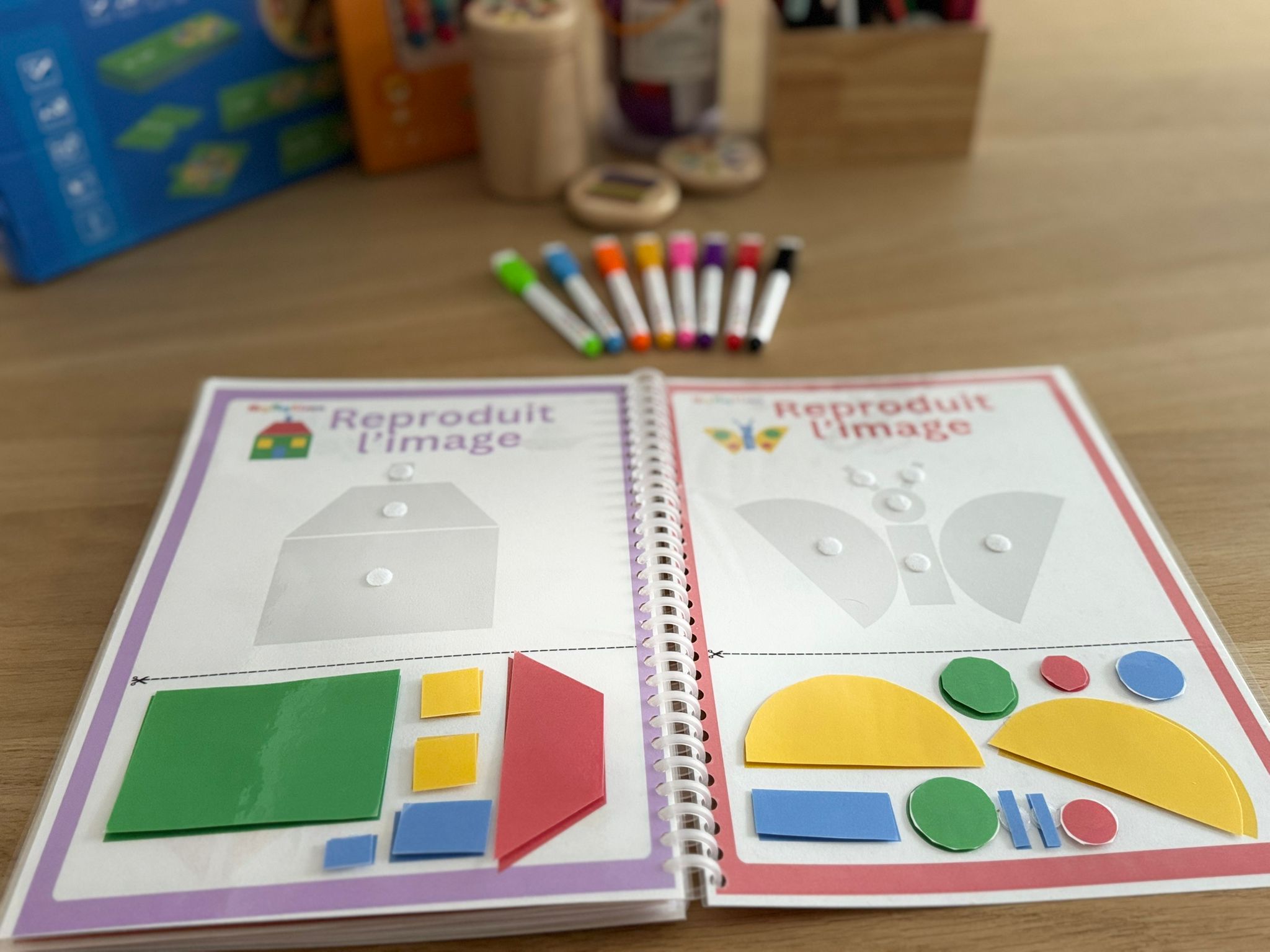 The Big Multi-Activity Activity Book